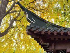 -郑和公园