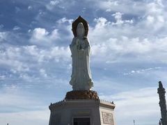 -呼兰河口湿地公园