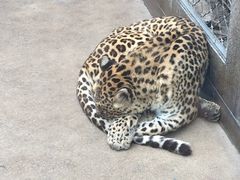 -西安秦岭野生动物园