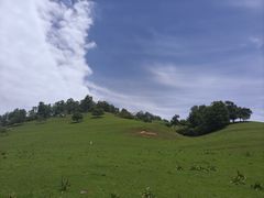 -关山草原
