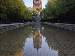 -玲珑塔公园