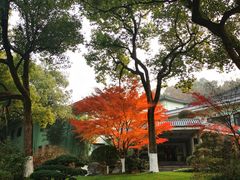 -浙江西子宾馆·瑶园咖啡厅