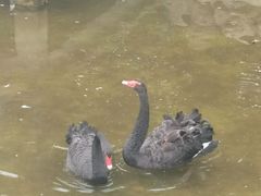 -森林公园(尖草坪区)