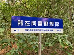 -同里国家湿地公园