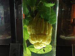 -广东中医药博物馆