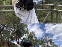 -苍山感通索道