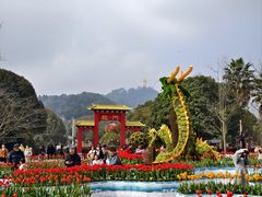 -南山植物园