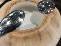 -东椰·海南椰子鸡火锅(朝阳门店)