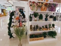 -巴黎春天(浦建店)