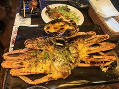 -The Cheebat 锌吧·Bistro(体育西店)