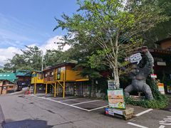 -宫城藏王狐狸村