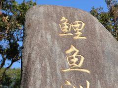 -福建鲤鱼洲酒店