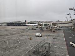 -奥利弗·雷金纳德·坦博国际机场