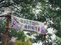 -苏州上方山国家森林公园