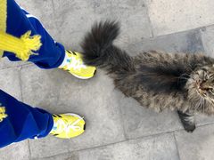 -北京国子监胡同