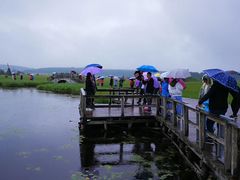 -塞罕坝国家级自然保护区