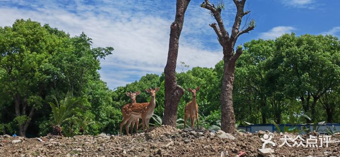 不觉晓CAMPING(上海迪士尼营地店)图片