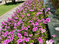 -三亚南山文化旅游区