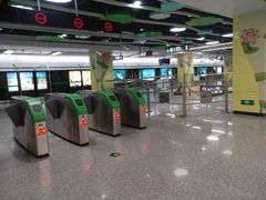 -杨柳河(地铁站)