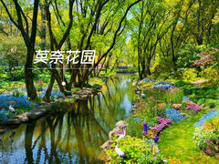 -上海共青森林公园