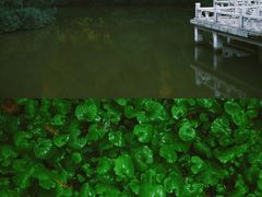 -泰州站