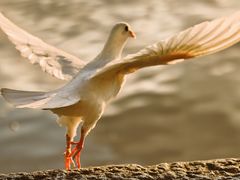 -北山街历史文化街区