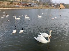 -南京金牛湖风景区