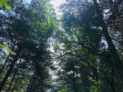 -帽儿山国家森林公园