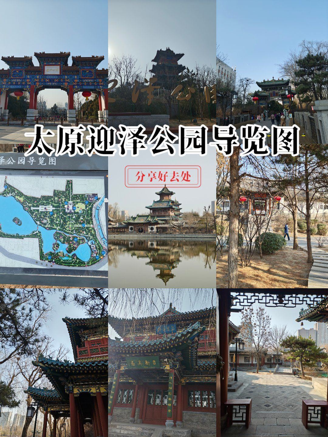 春天的迎泽公园湖水的冰已经融化,树枝弹出萌嫩