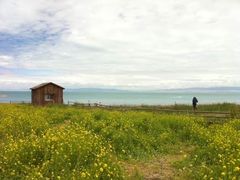 -青海湖国家重点风景名胜区