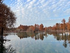 -贡湖湾湿地公园