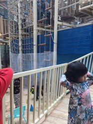 点击看大图 -PIPIKINGDOM皮皮王国欢乐号(欢乐海岸购物中心店)