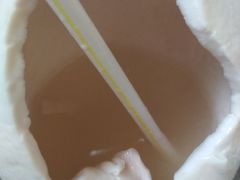 椰蛋加椰汁-椰子下蛋(南锣鼓巷店)