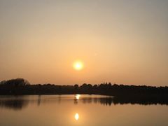 -明珠湖天鹅苑·农家菜馆