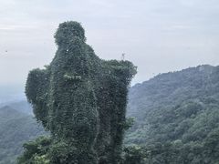 -青城山