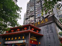 -新概念来凤鱼(璧山店)