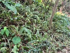 -古龙峡云天玻霸