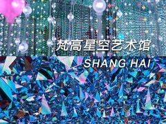 -上海梵高星空艺术馆(南京路旗舰店)