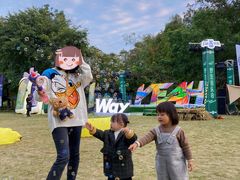 -南宁良凤江国家森林公园