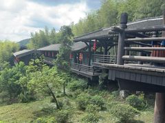 -大唐贡茶院