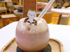-滚猫咖啡·猫咖·猫友好撸猫(未来城店)