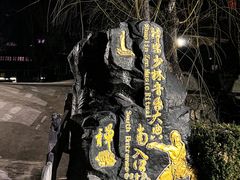 -禅宗少林·音乐大典