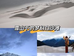 -佛掌沙丘