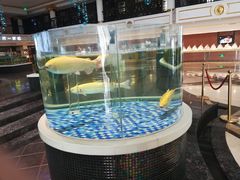 -海鲜码头