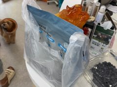 -宠济安动物医院 内科.猫科.外科