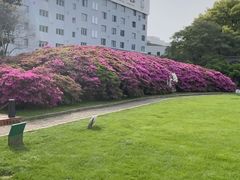 -长阳创谷