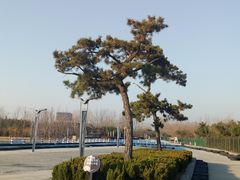 -刘家湾赶海园