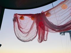 -上海海昌海洋公园
