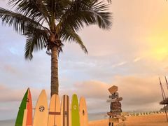 -玫瑰海岸文化旅游度假区