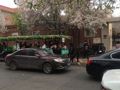 -天津五大道文化旅游区